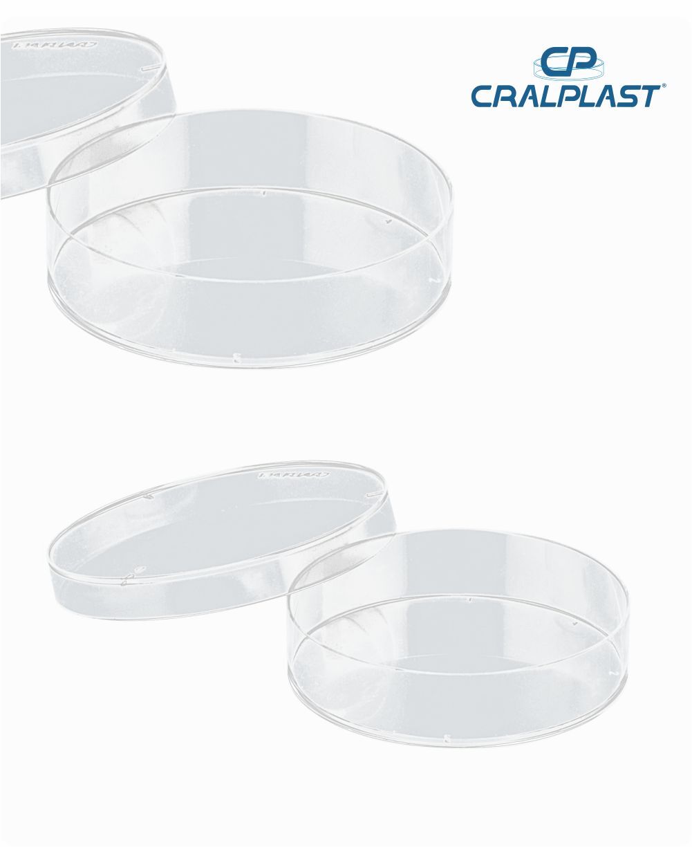 Placa de petri PS 60mmx15mm lisa